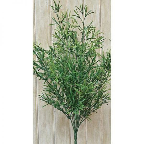 12-inch-asparagus-green-bush-pick-full