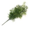 23-inch-asparagus-green-bush-pick-full