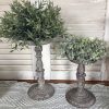 farmhouse-cottage-rustichalf-sphere-greenery-galvanized-holder