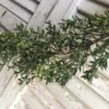 68-inch-boxwood-green-garland-full