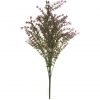 FV91303TT-lavender-asparagus-bush