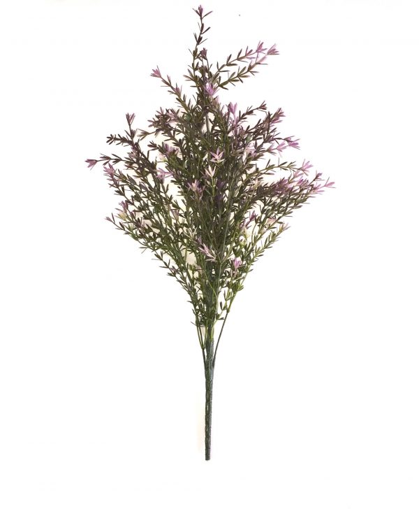 FV91303TT-lavender-asparagus-bush