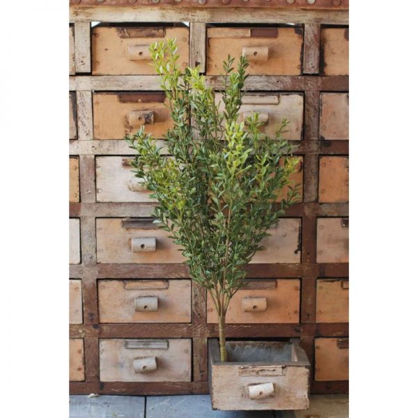 19-inch-boxwood-green-bush-pick-full