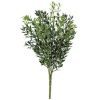 11-inch-boxwood-green-small-bush-pick-full