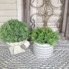 morning-rain-five-inch-greenery-rustic-modern-farmhouse