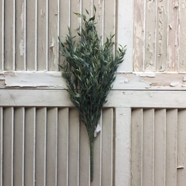 V919691-large-twilight-ash-green-pick-greenery V919691-large-twilight-ash-green-pick-greenery