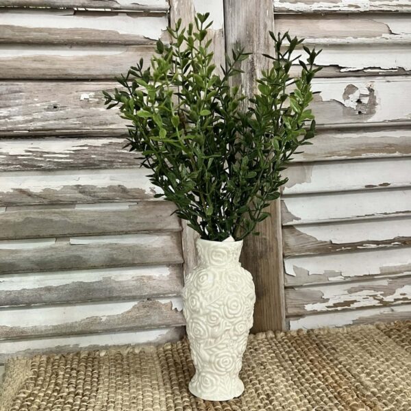 New England Boxwood Greens Small Bush New England Boxwood Greens Small Bush