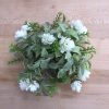 eight-inch-irish-hops-farmhouse-greenery-with-white-flowers-on-butcher-block