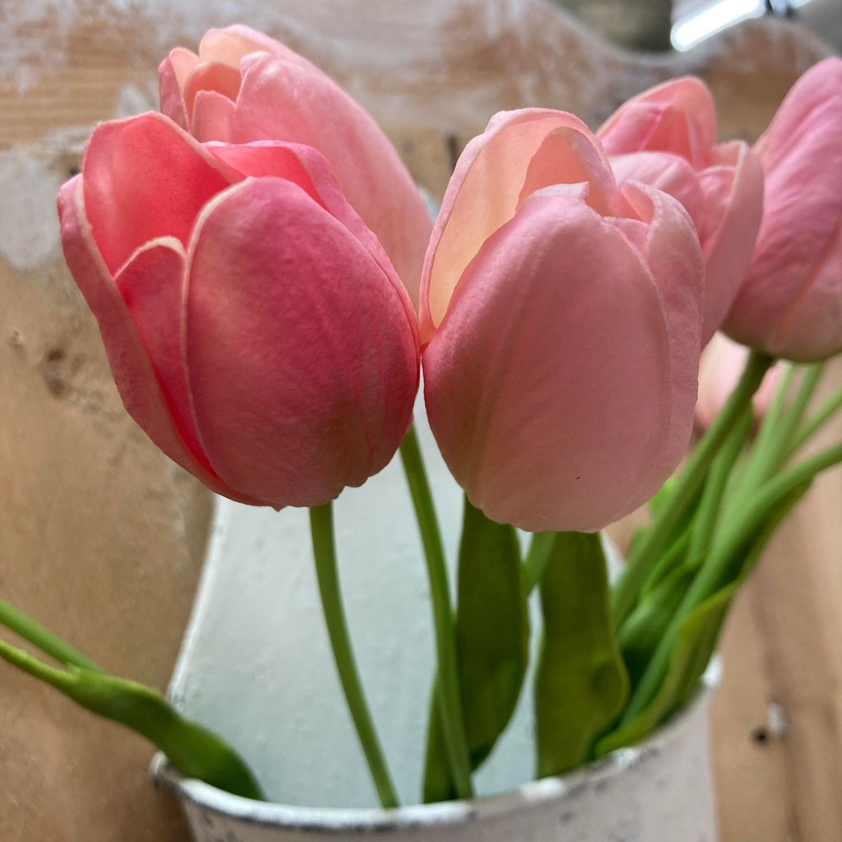 Medium Pink Tulips