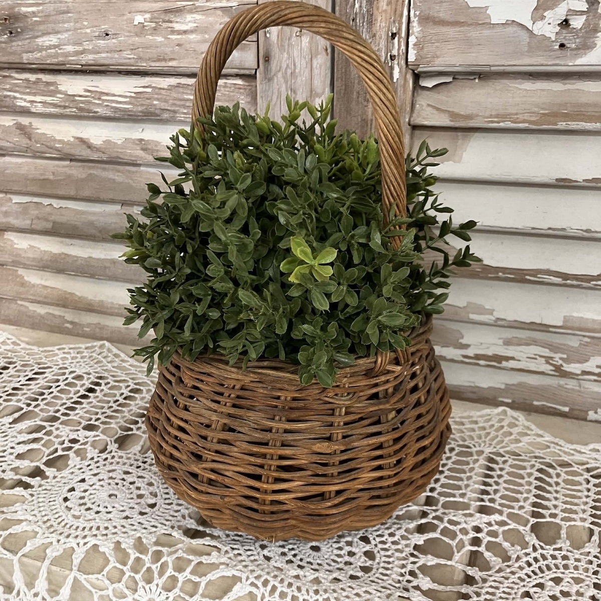 New England Boxwood Greens Half Sphere