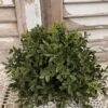 New England Boxwood Greens Half Sphere
