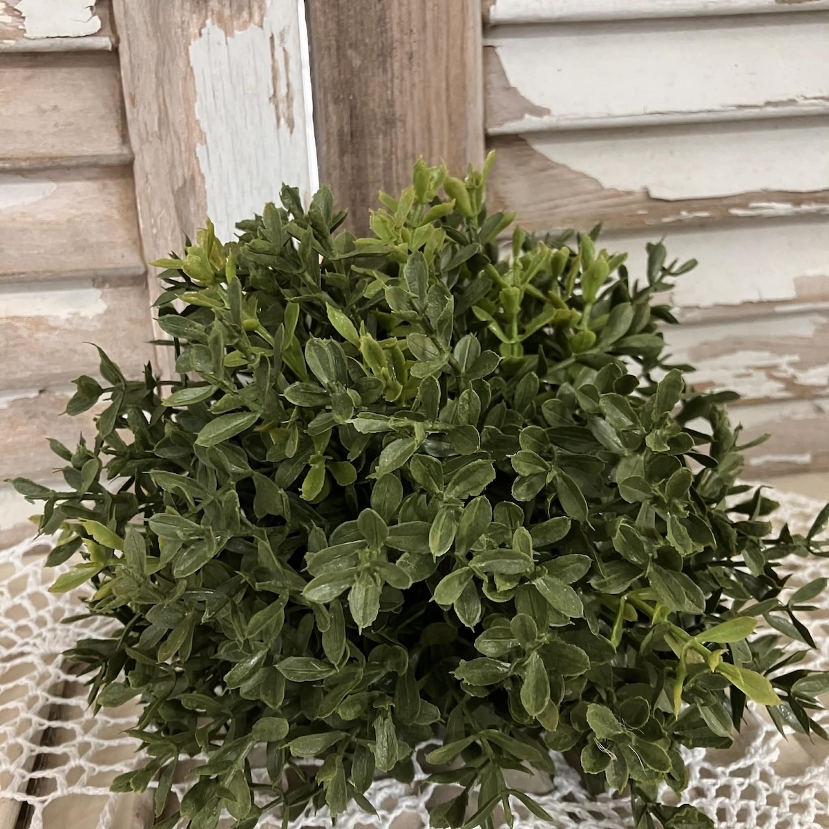 New England Boxwood Greens Half Sphere