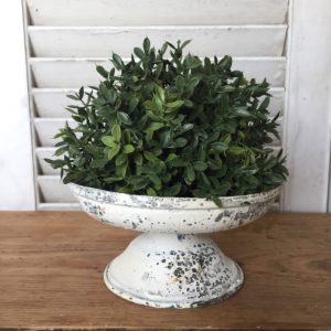 New England Boxwood Greens Half Sphere