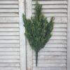 large-rainwashed-farmhouse-cottage-rustic-14-inch-bush-greenery-on-aged-shutters