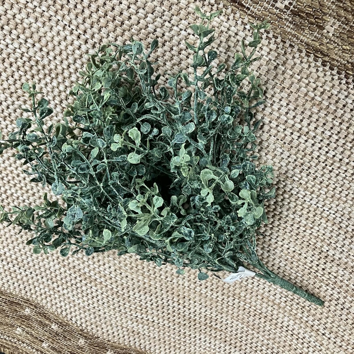 Twilight Meadows Greens Small Bush