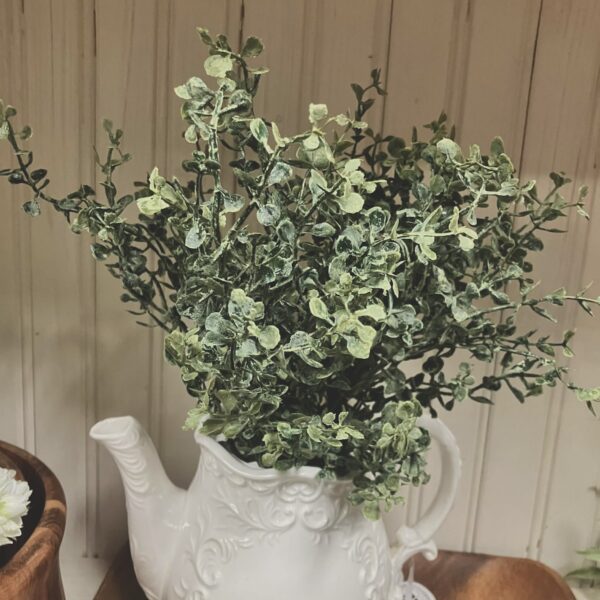 Baby's Twilight Small Bush Twilight Meadows Greens Small Bush