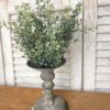 baby’s twilight farmhouse greenery bush