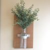 baby’s twilight farmhouse greenery bush