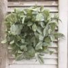 Grand Bay Lamb’s Ear Candle Ring and Wreath on a Chippy Shutter