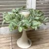Grand Bay Greenery Large Wreath Grand Bay Greenery Large Wreath
