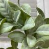 Grand Bay Greenery Large Wreath Grand Bay Greenery Large Wreath