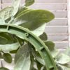 Grand Bay Greenery Large Wreath Grand Bay Greenery Large Wreath
