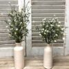 Cloud Pusher Greenery Bushes Cloud Pusher Greenery Bushes