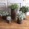 Assorted Sizes Rust Ribbed Galvanized Pots