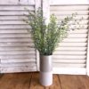 Tall Basil Boxwood Greenery Bush