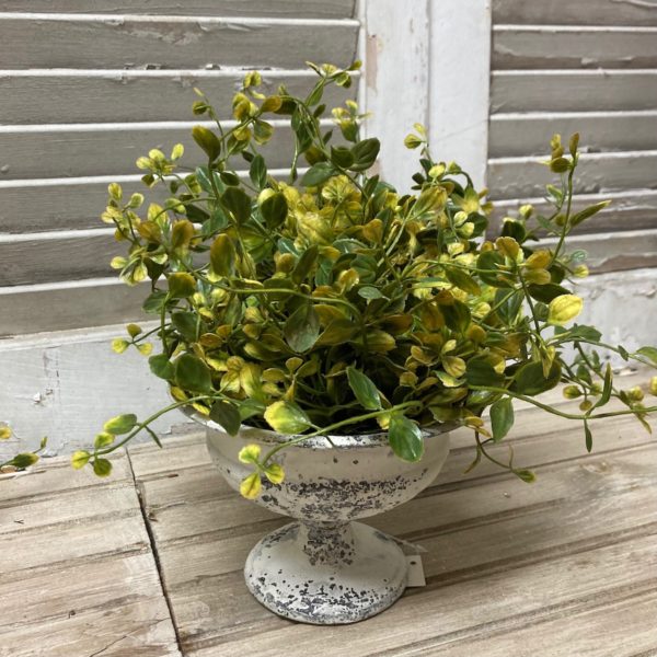 Budding Meadow Vine Faux Greenery Half Sphere