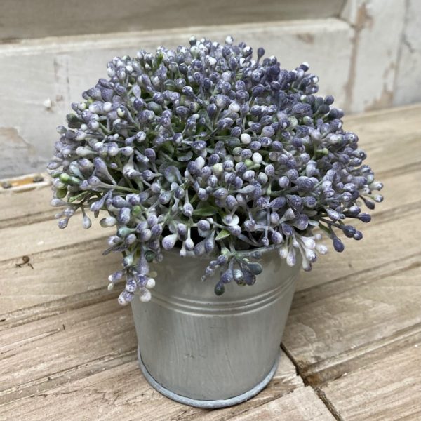 Heatherwick Berries Potted Plant