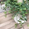 Seraph Vine Greenery 4.5″ Wreath or Candle Ring