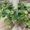 Seraph Vine Greenery 2″ Candle Ring