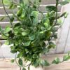 Seraph Vine Greenery 14″ Bush