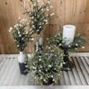 Cloud Pusher Greenery Assortment Cloud Pusher Greenery Assortment