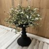 Matte Black Verona 7″ Holder with Cloud Pusher Greenery Cloud Pusher Greenery Half Sphere