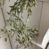 Mixed Sage Greenery Garland Mixed Sage Faux Greenery Garland