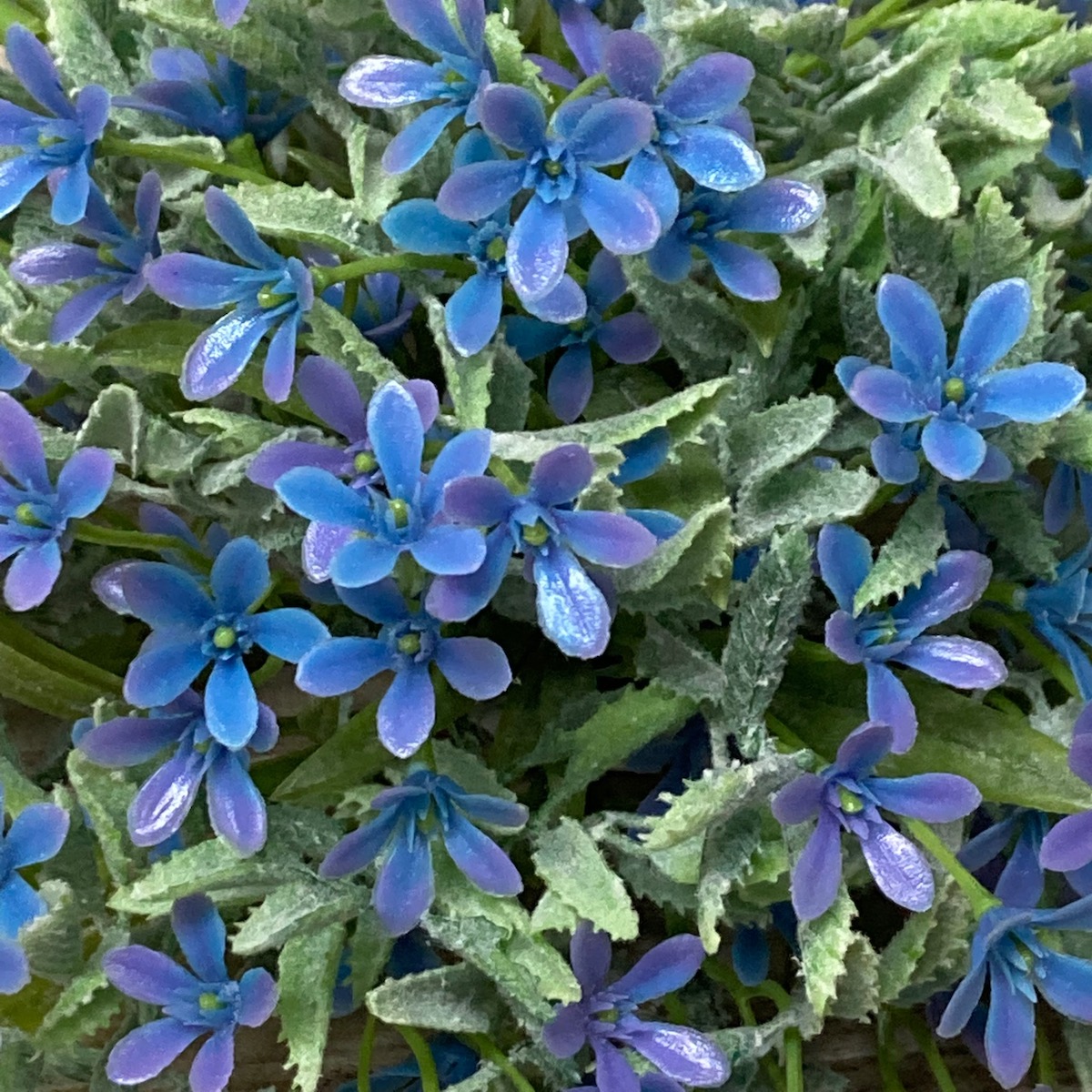 Bud Love Greenery with Small Blue Flowers Half Spheres