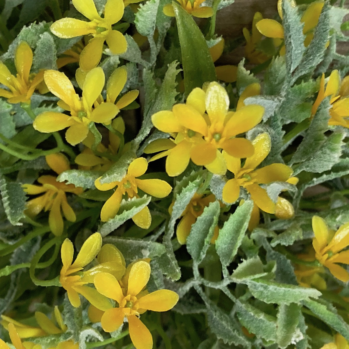 Bud Love Greenery with Small Yellow Flowers Half Spheres