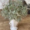 Shiloh Leaves Greenery Bush Shiloh Leaves Greenery Bush
