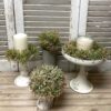Shiloh Leaves Small Wreath and Candle Ring Shiloh Leaves Small Wreath and Candle Ring