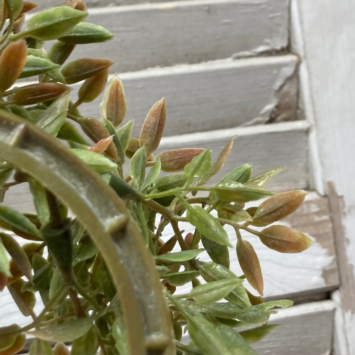 Shiloh Leaves Small Wreath and Candle Ring