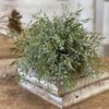 Mixed Sage Greenery Large Half Sphere Mixed Sage Greenery Large Half Sphere