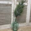 Bent Bough Cedar Spray