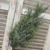 Bent Bough Cedar Spray