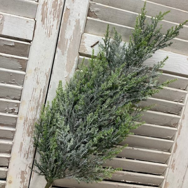 Bent Bough Cedar Spray