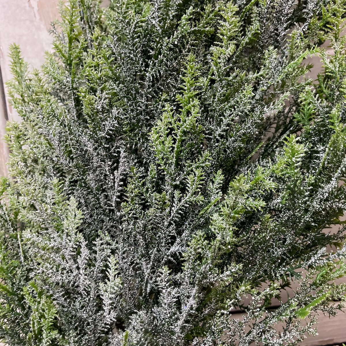 Bent Bough Cedar Spray