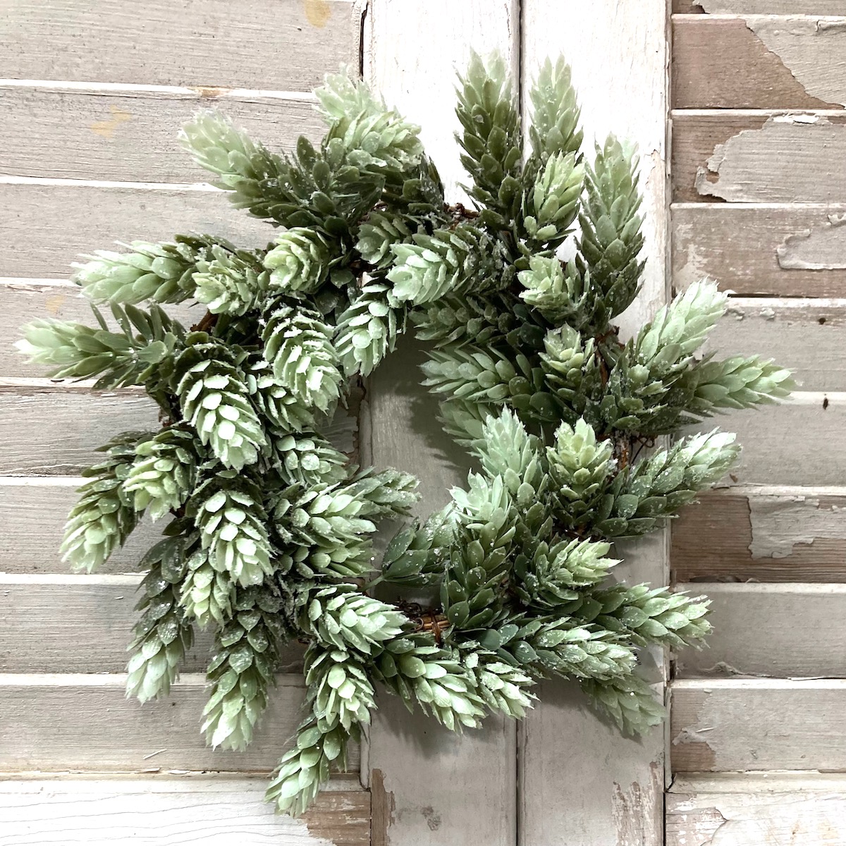 Frost Ridge Hops Greenery Small Wreath
