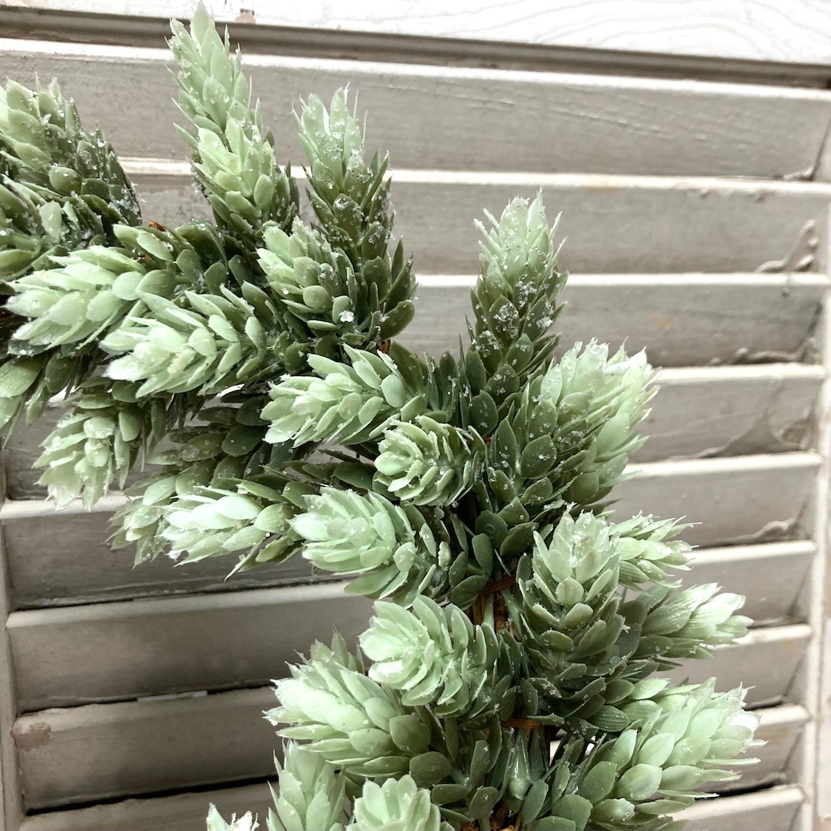 Frost Ridge Hops Greenery Medium Wreath