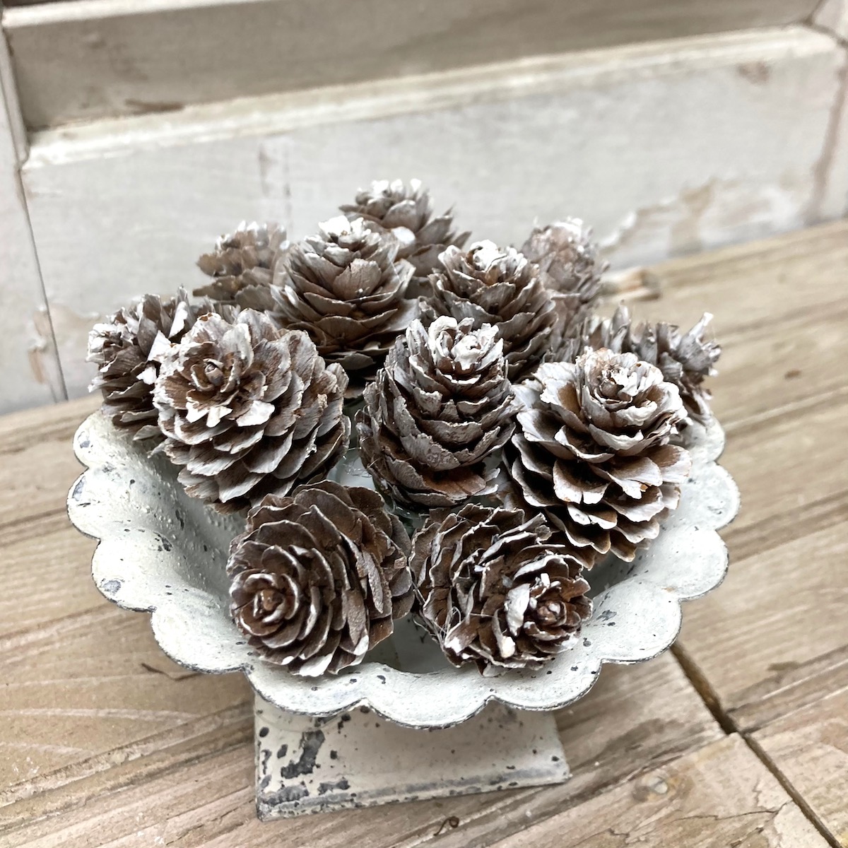 Snow Dust Pinecone Small Candle Ring